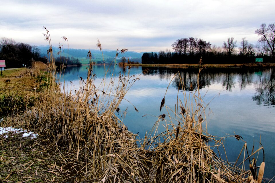 Reuss nature conservation nature