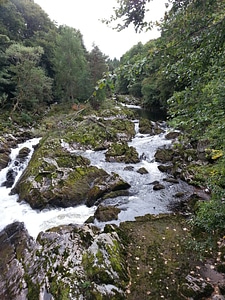Moss rapids landscape