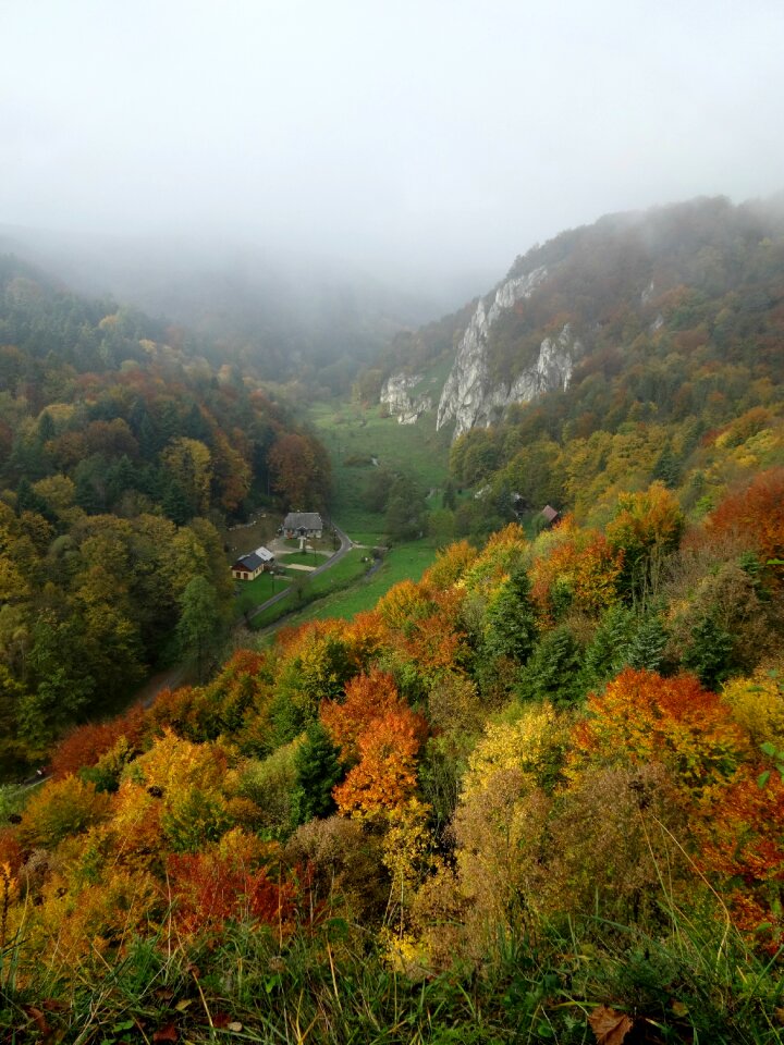 Autumn rocks nature