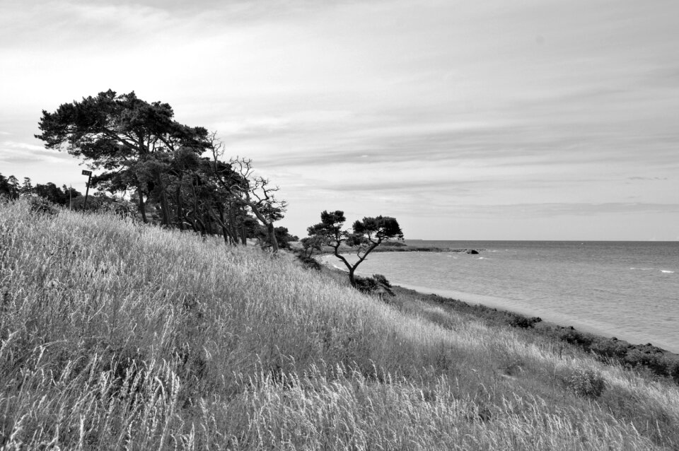 Summer by the sea sw