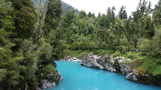 Trees river nature