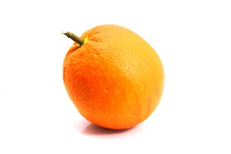 White white background free image