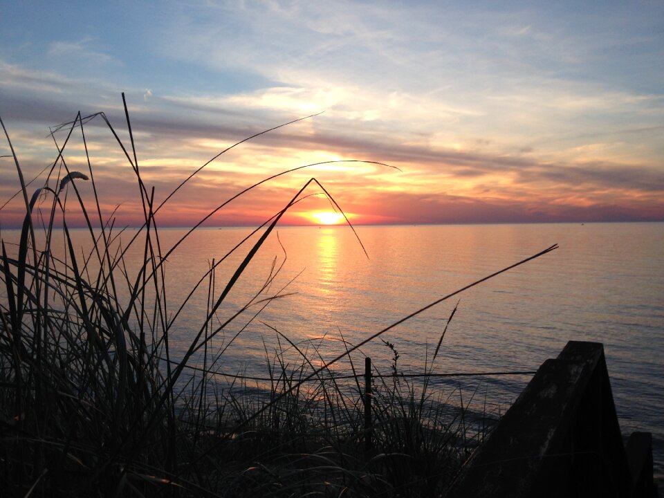New buffalo sunset