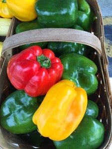 Yellow pepper farmers market photo