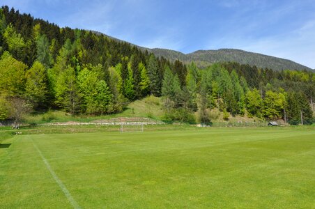 Grass green football photo