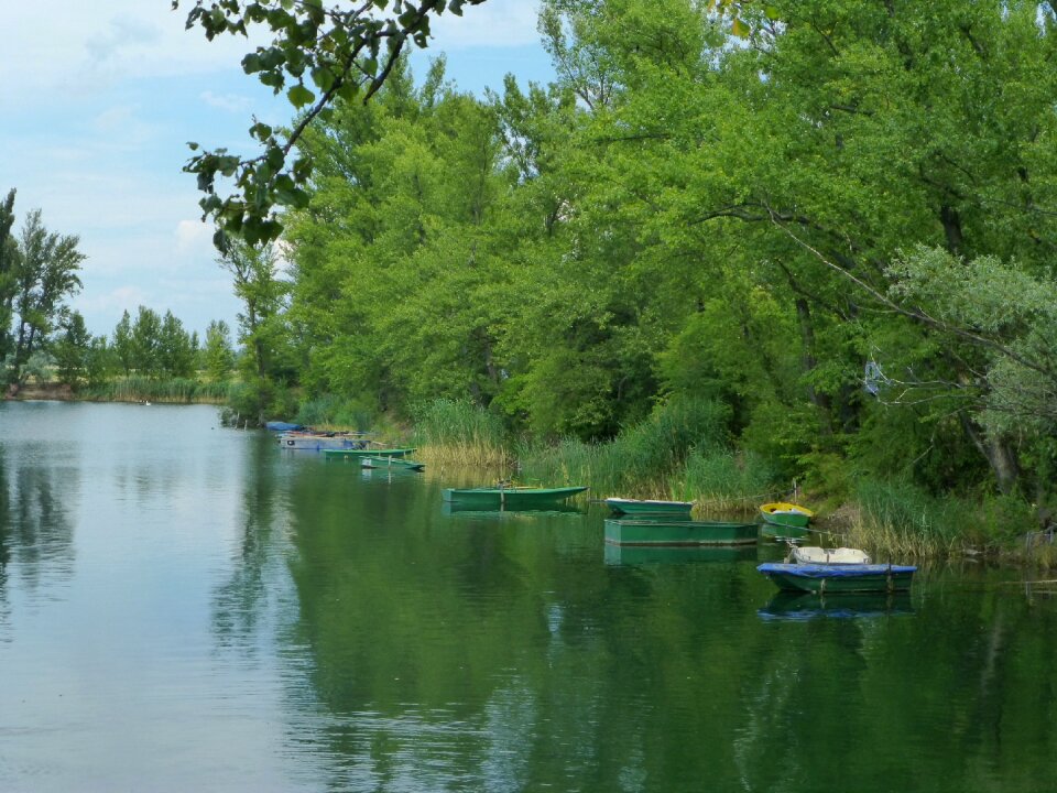 Bank reflection nature