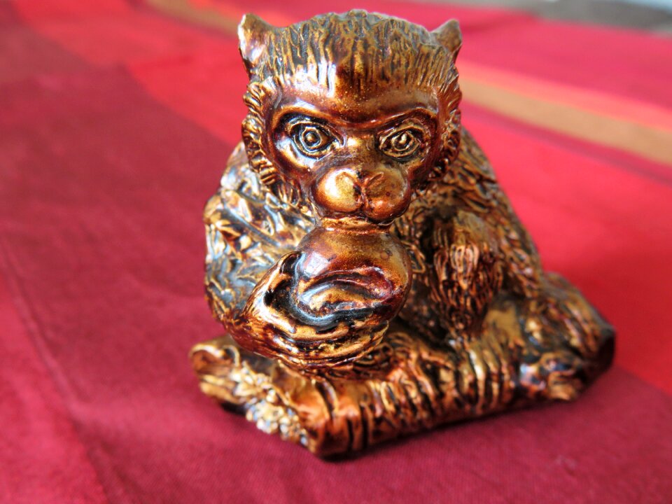 Chinese new year new year luck