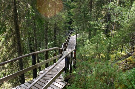 The path nature finnish