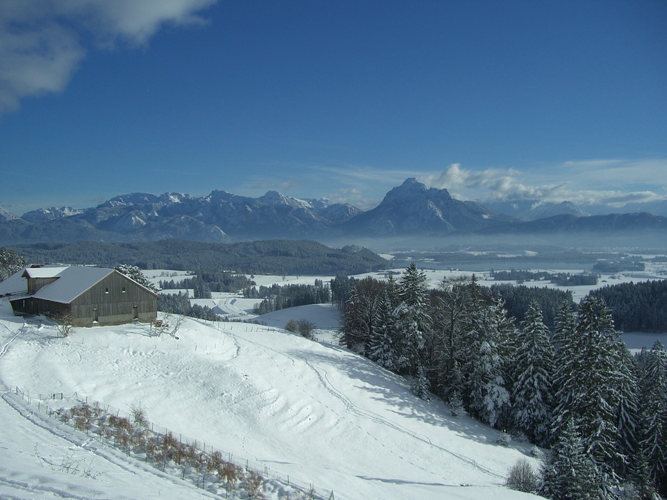 Snow winter alpine