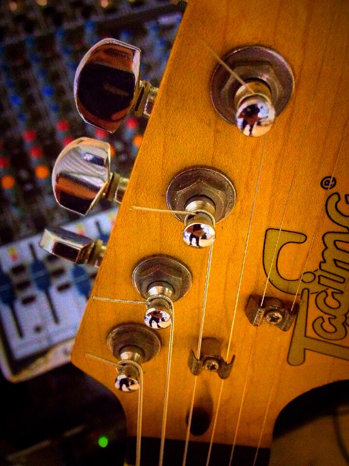 Tagima music fretboard guitar