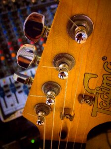 Tagima music fretboard guitar