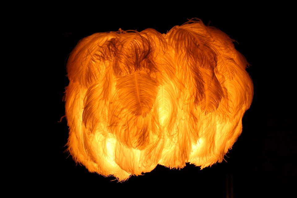 Lamp lighting feather