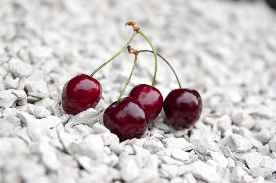 Cherry limestone red berries