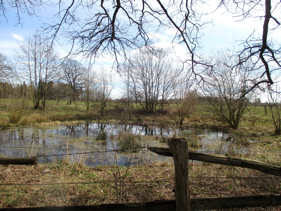Biotope landscape waters