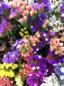 Colorful bounch bouquet