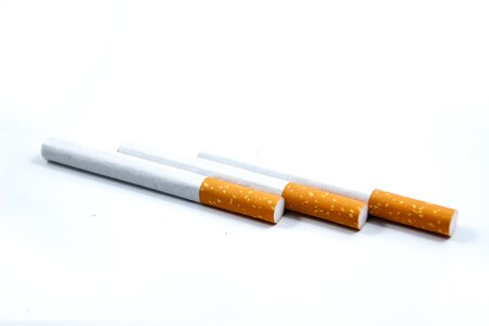 White white background free image