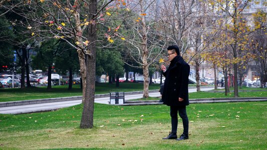 Men park tree