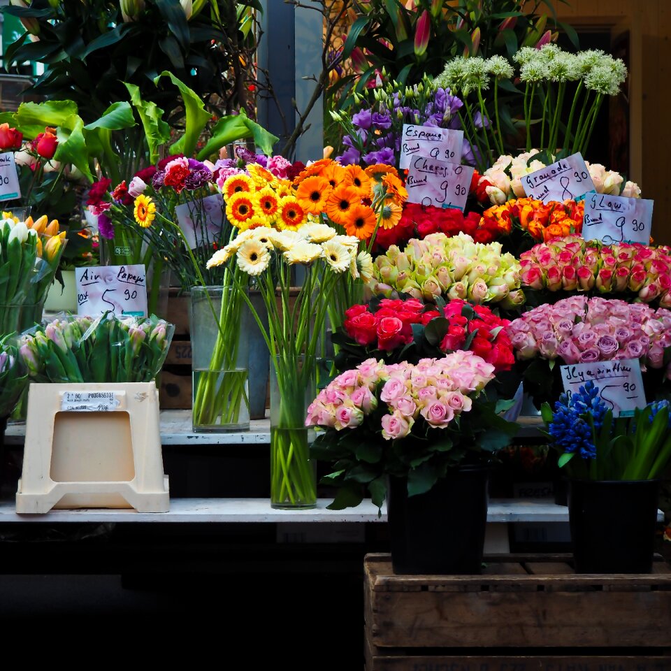 Flower trade market day market stall