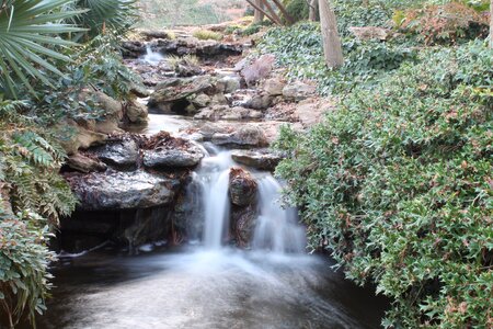 Botanical dallas botanic garden dallas