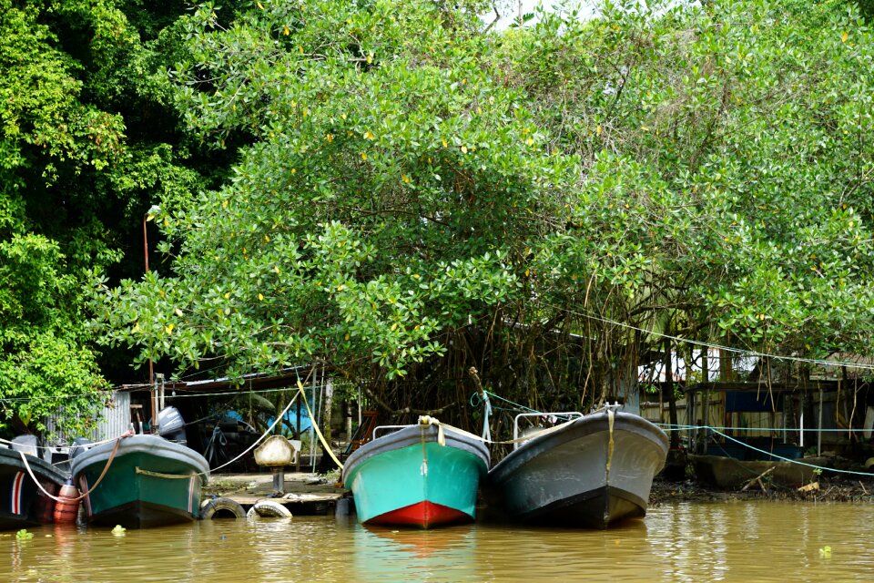 River water tropics