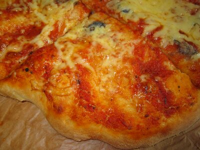 Food delicious cheese