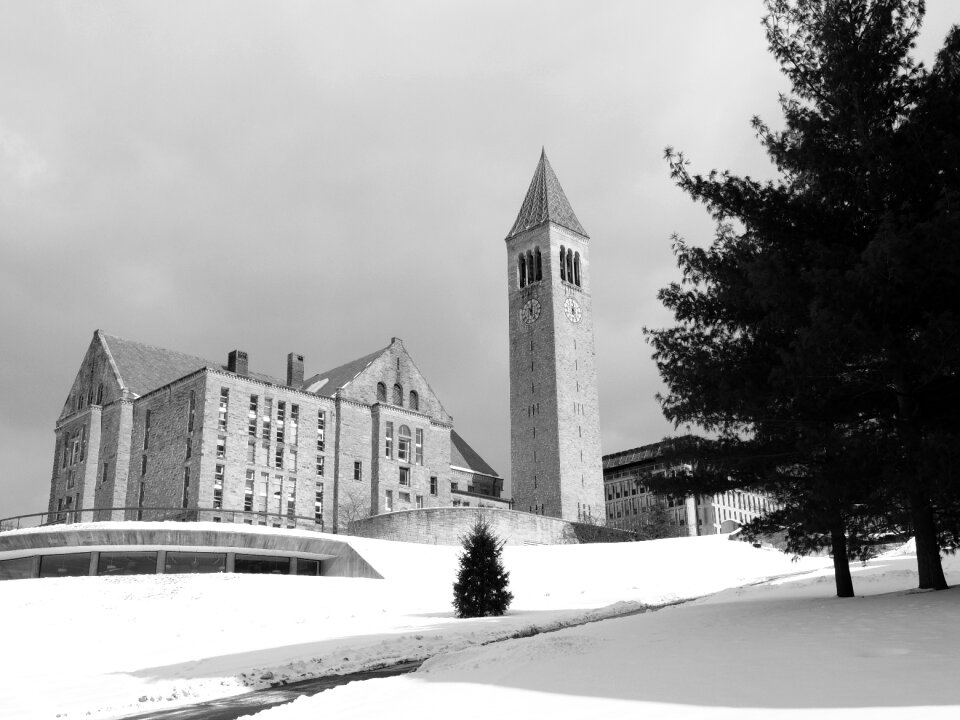 University cornell education