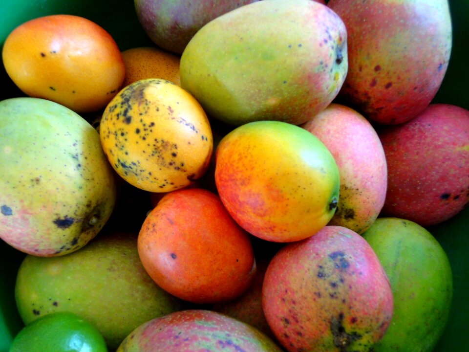 Fresh garden fruits