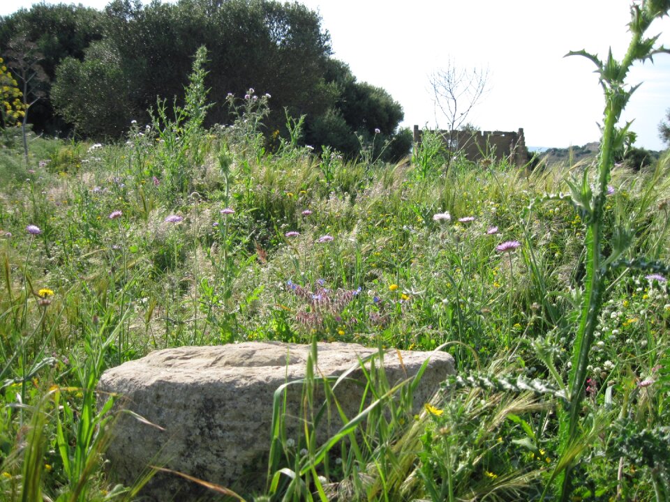 Stone excavation nature