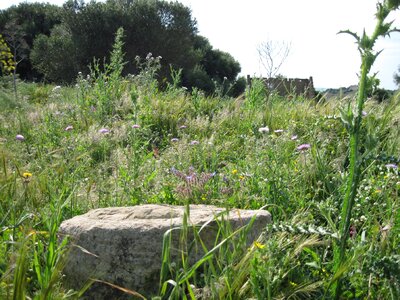 Stone excavation nature