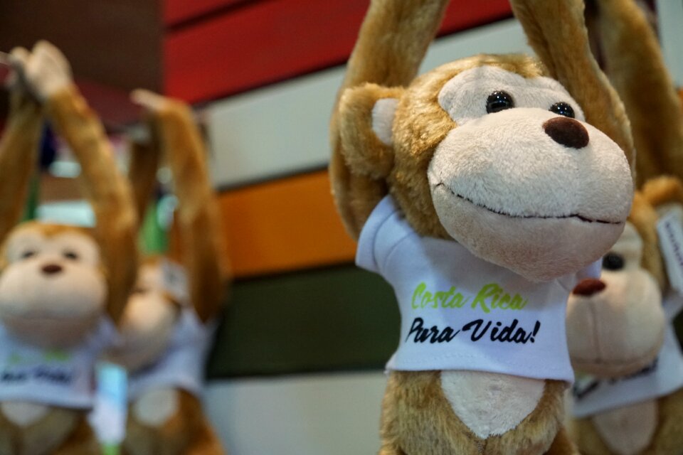 Rica monkey teddy bear