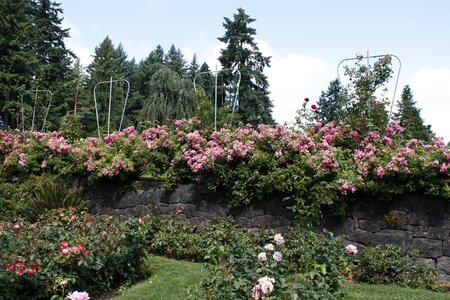 Garden portland