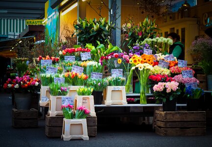 Flowers was flower trade market stall