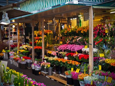 Flowers was flower trade market stall