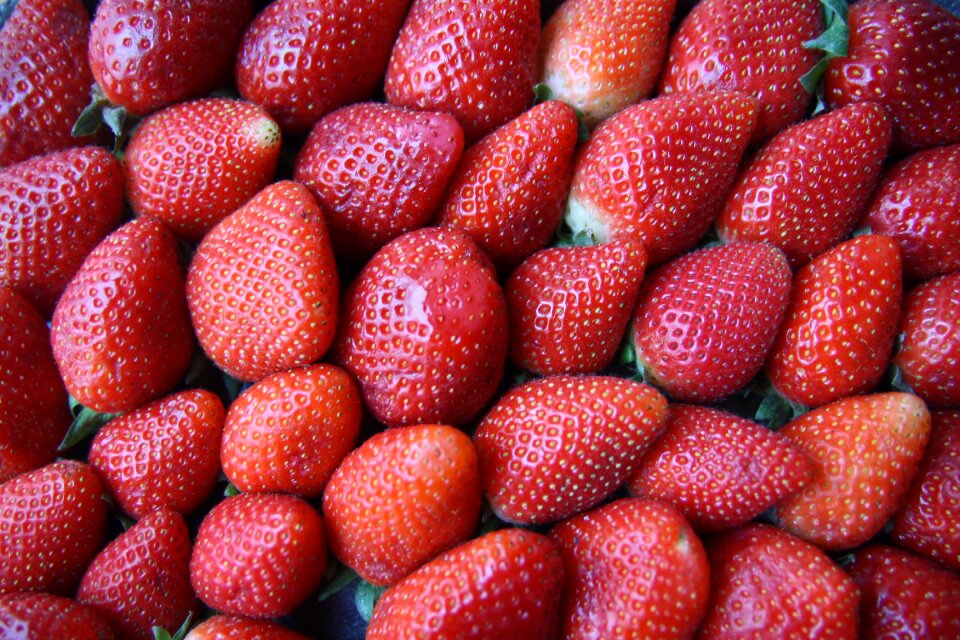 Fruit red fruits