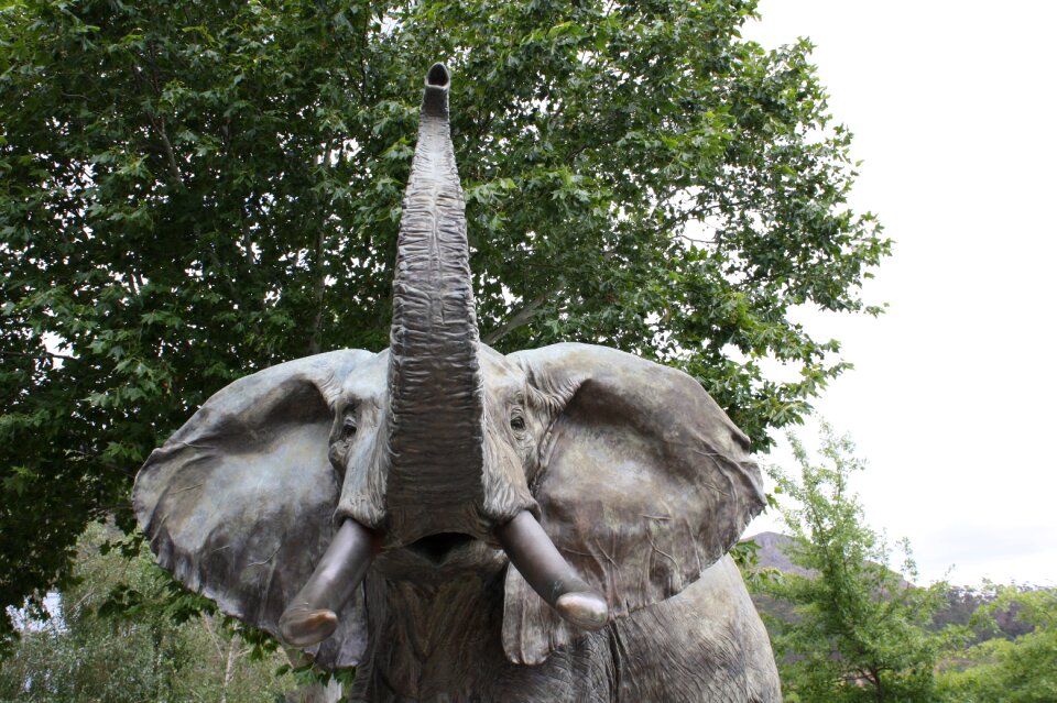 Wine estate grande provence elephant head statue