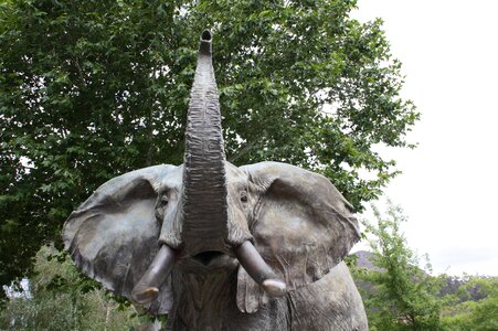 Wine estate grande provence elephant head statue