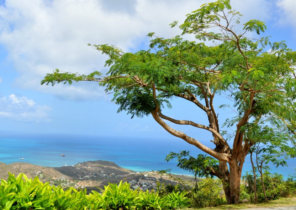Sea holiday tropical