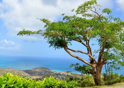Sea holiday tropical