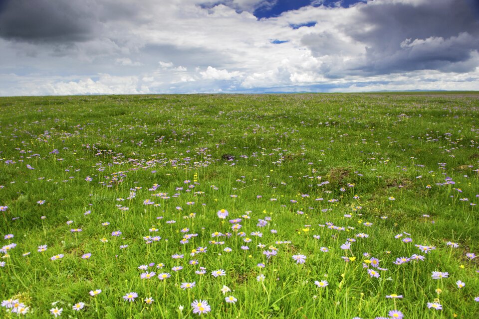 River grassland prairie