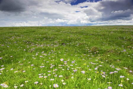 River grassland prairie