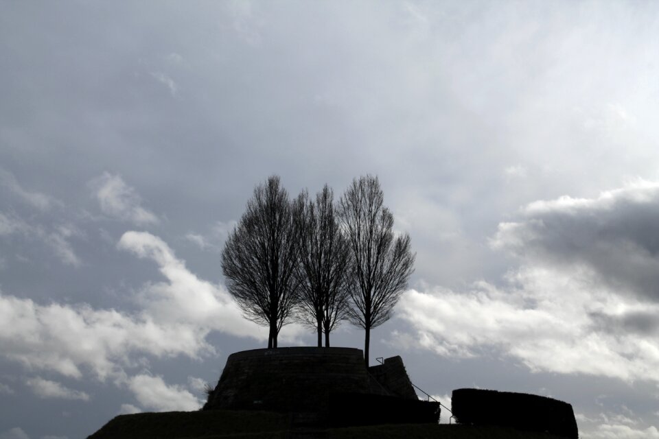 Grey silhouettes sky