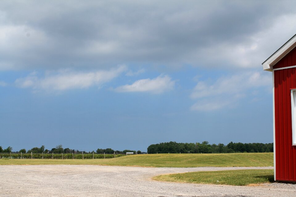 Nature farm countryside