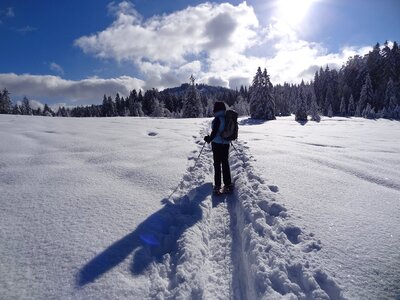 Trace sun winter