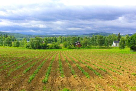 Ramsjö himmel landscapes