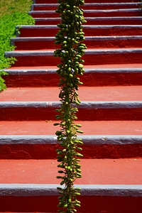 Emergence gradually red