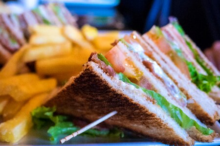 Food foodie