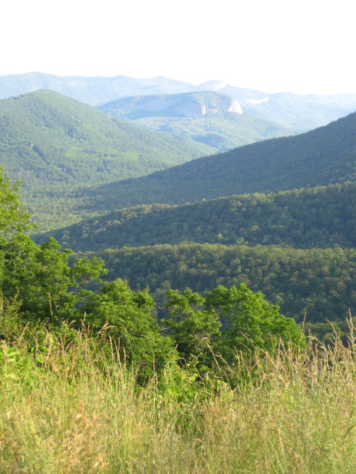 Landscape green scenery photo