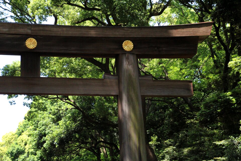 East pagoda wood