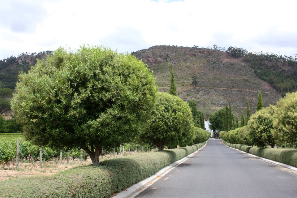 Wine estate grande provence winelands stately