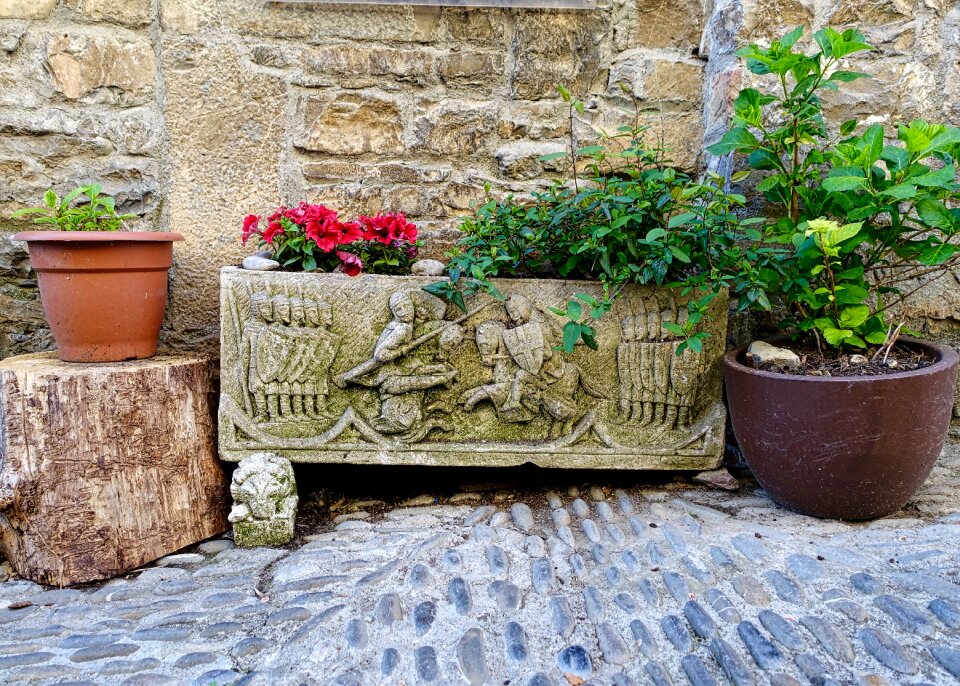 Decoration landscaping nature